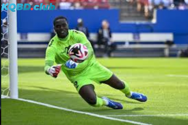 Đội hình dự kiến trước trận Bermuda vs Trinidad & Tobago Đội hình dự kiến trước trận Bermuda vs Trinidad & Tobago