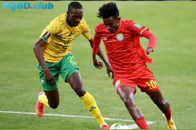 Đội hình dự kiến trước trận Ethiopia vs Guinea Bissau Đội hình dự kiến trước trận Ethiopia vs Guinea Bissau