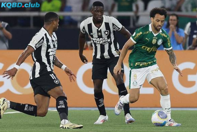 Đội hình dự kiến trước trận Flamengo RJ vs Palmeiras Đội hình dự kiến trước trận Flamengo RJ vs Palmeiras