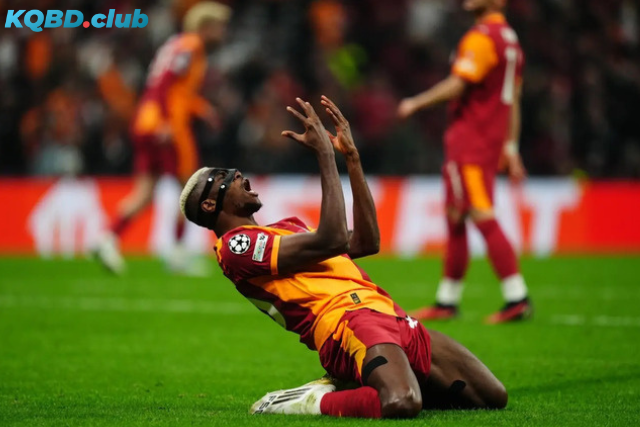 Đội hình dự kiến trước trận Galatasaray vs Bodo Glimt Đội hình dự kiến trước trận Galatasaray vs Bodo Glimt