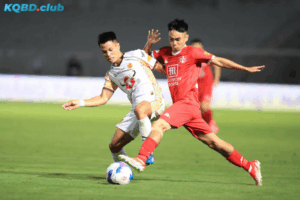 Đội hình dự kiến trước trận Hải Phòng vs Hoàng Anh Gia Lai