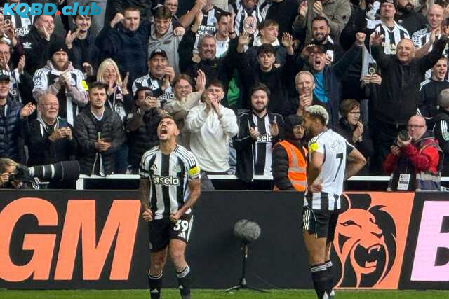 Đội hình dự kiến trước trận Newcastle vs Benfica Đội hình dự kiến trước trận Newcastle vs Benfica