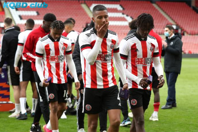 Đội hình dự kiến trước trận Sheffield Utd vs Watford Đội hình dự kiến trước trận Sheffield Utd vs Watford