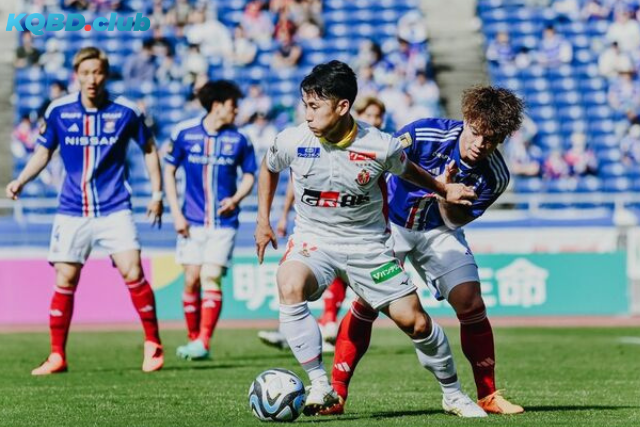 Đội hình dự kiến trước trận Yokohama FC vs Nagoya Grampus Đội hình dự kiến trước trận Yokohama FC vs Nagoya Grampus